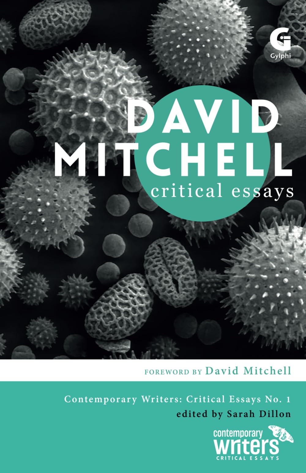 David Mitchell: Critical Essays: 1 (Contemporary Writers: Critical Essays)