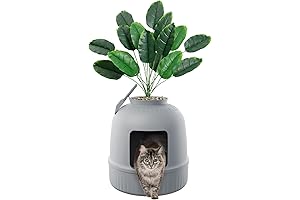 Lifewit Hidden Litter Box: A Natural Aesthetic Concealment for Your Cat's Necessity