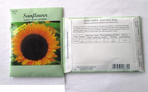 Miniatura 2 de Paquete de 6, 0.07 oz/paquete de semillas variadas de girasol de rayas grises gigantes