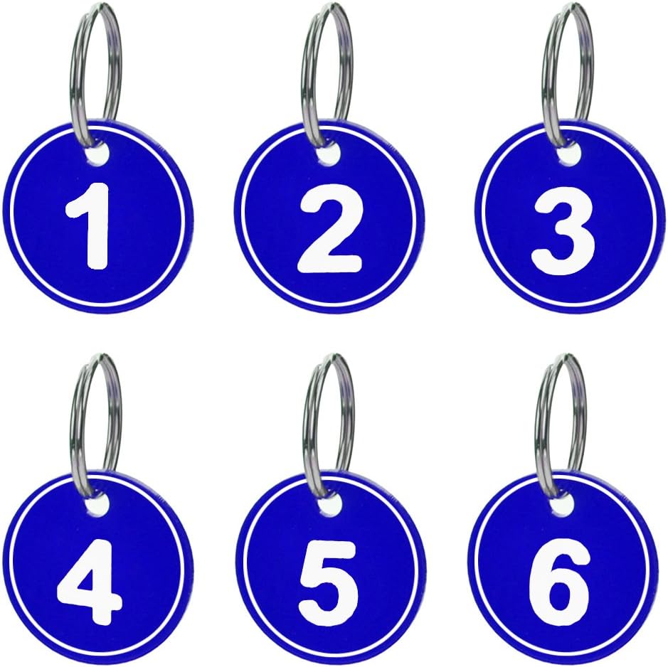 Aspire ABS Number ID Tags Keychains, Numbered Key Rings, Metal Key Tag Set, Pack of 200, Blue 1 to 200