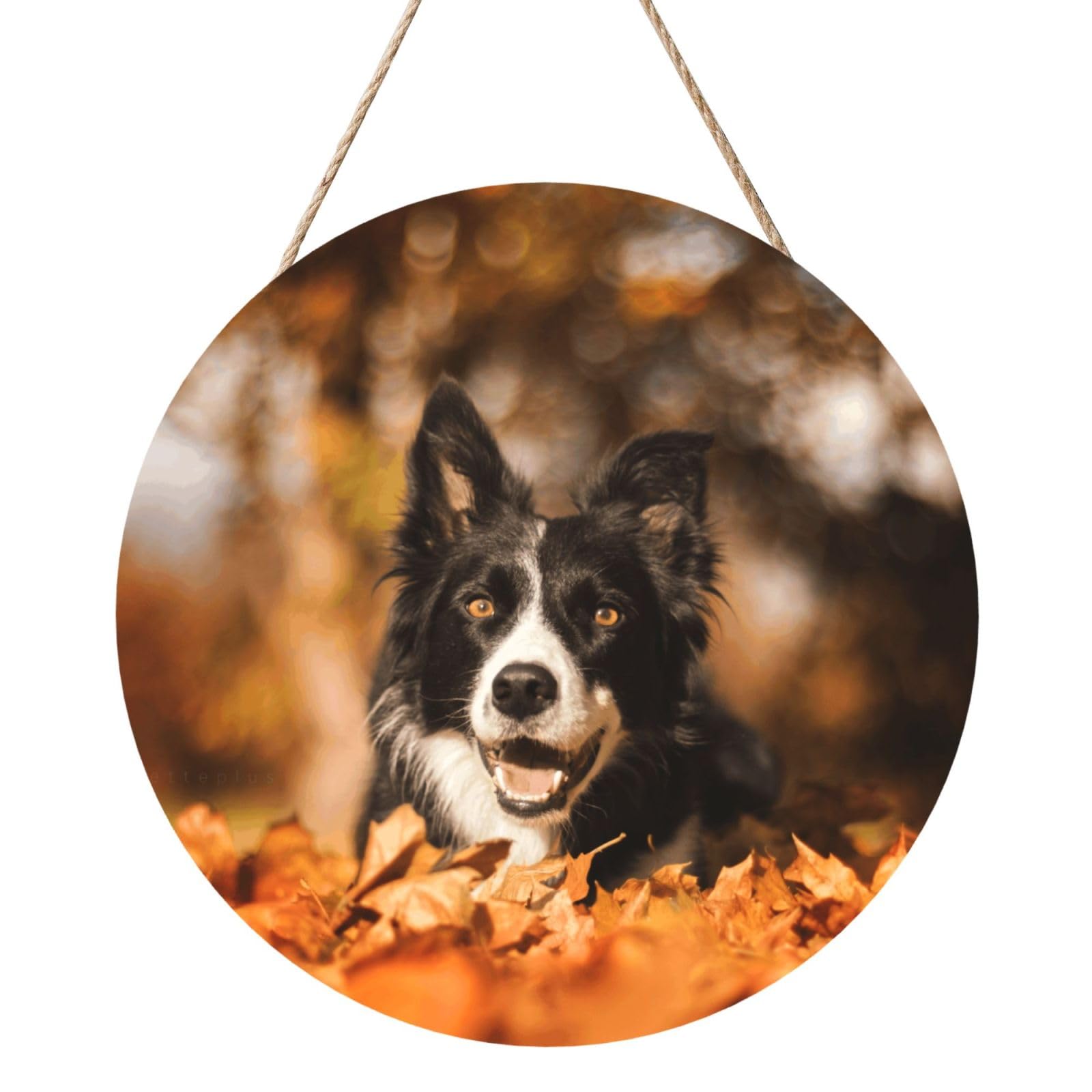 InOmak Border Collie Bokeh Autumn Black Border Collie, Round Wood Panel Painting 12 in, Wall Hanging Painting For Home