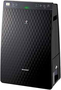 61j4-d5kxvL._AC_UF350,