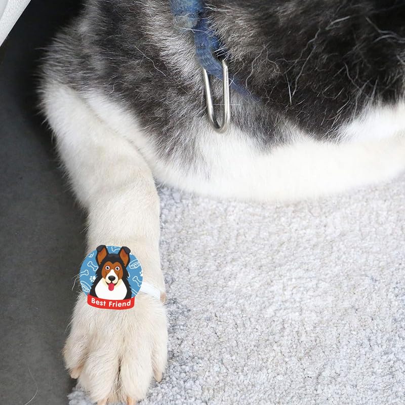 TheYayaCafe Dog Rakhi Rakshabandhan Gifts for Pets, Acrylic Paw Accessories with Elastic Band Lil Bro, Raksha Bandhan Rakhi for Dog Brother from Sister 2