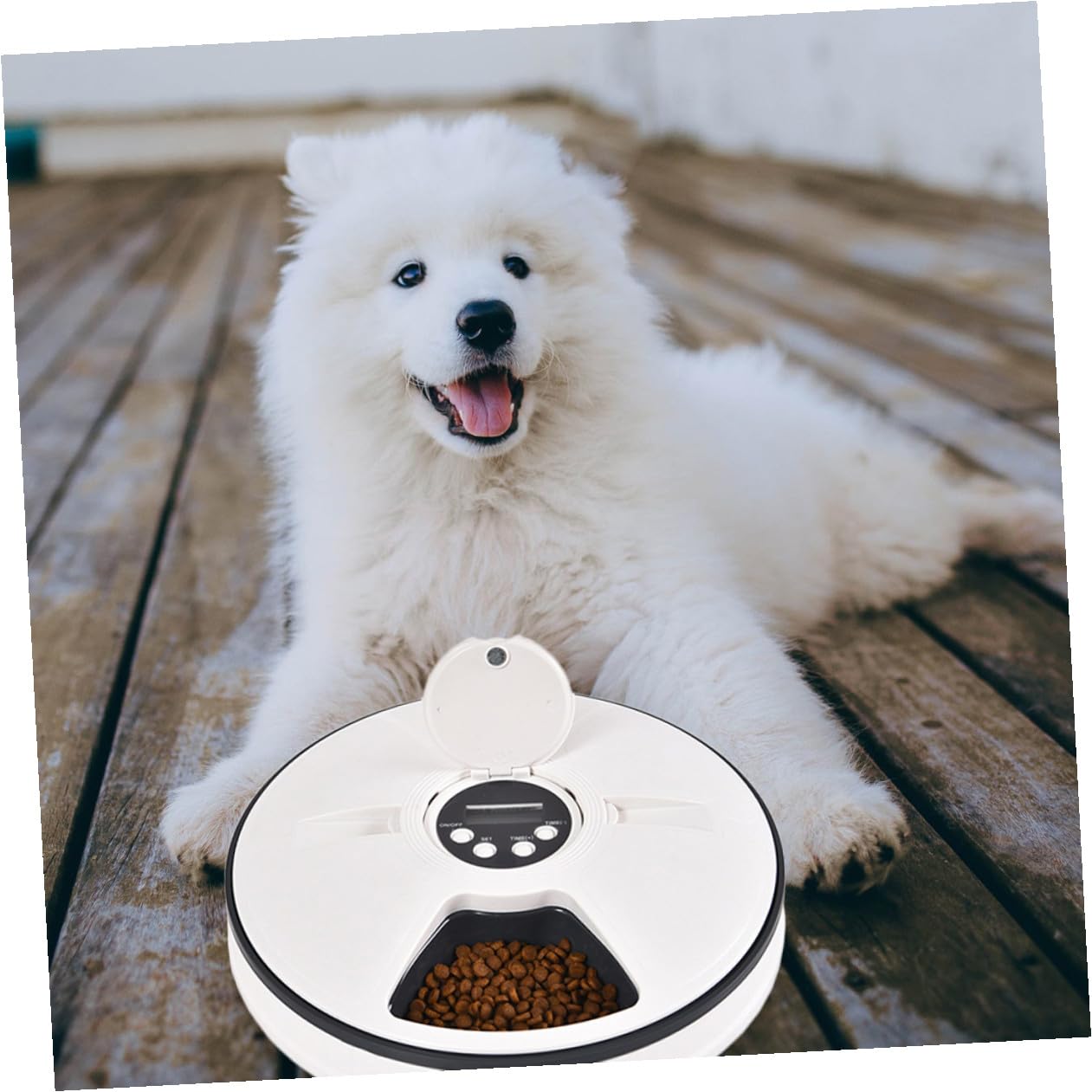 Distributore Automatico Cibo Cani Timer 6 Pasti 90g Abs Nero