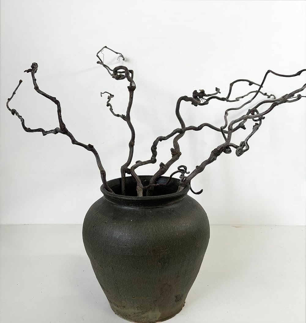 Natural Tree Branches Dried Rattan Linearity Branches for Wedding Party Home Hotel Decoration Fall Decorative Plant Twigs (5 PCS)