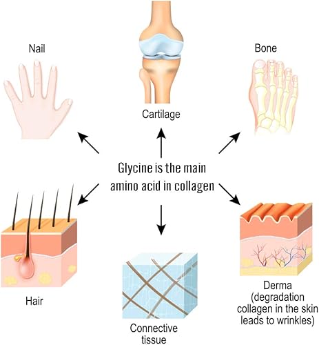 Miniatura 7 de Polvo de glicina (2 libras) – Promueve el sueño reparador, la energía muscular y la fuerza, apoyo de memoria y cognición (bolsa resellable)
