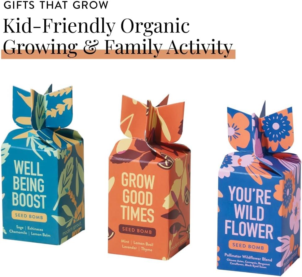 Modern Sprout Seed Bombs - Organic Wildflower & Herbs Seeds for Indoor/Outdoor Gardening - Easter Basket Essentials - Eco-Friendly Gift for Plant Lovers - 12 Hand-Rolled Seed Balls - Made in The USA