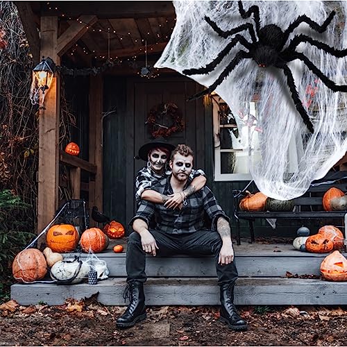 Decorazioni all'aperto del Ragno di Halloween