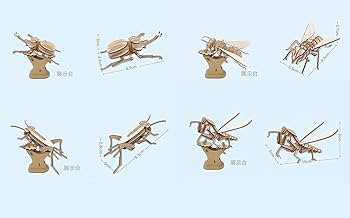 61j4Lv0gcpL._AC_UF350,