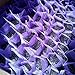 TooGet Lavender Sachet Bags, Natural Ultra Blue Lavender Buds for Home Fragrance, Room Decorations and Fresh Lavender Scent Sachets - Pack of 6