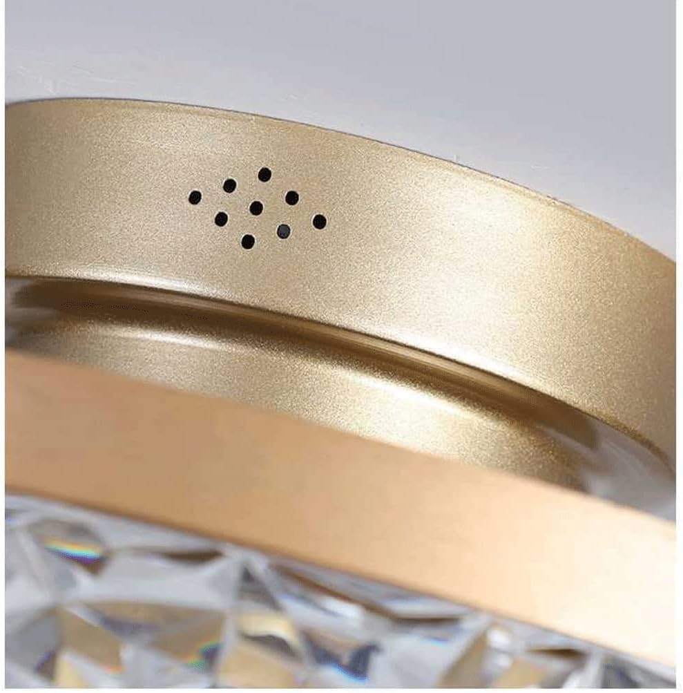 Ceiling Fan with LED Light and Remote Ceiling Lights Modern LED Lamp Bedroom Study Restaurant Decor Ceiling Lights (Colour: Black, Size: 16.5 x 50 cm) (Gold 16.5 x 50 cm)