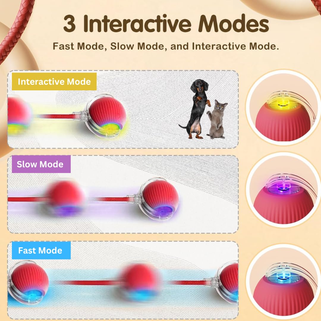 Naturaceutica's Interactive Electric Automatic Rolling Moving Rechargeable Self Play Stimulation Toy,Smart Pet Chase Ball With Speedy Tail Rope For Bored Indoor Cats Enrichment(Red) 2