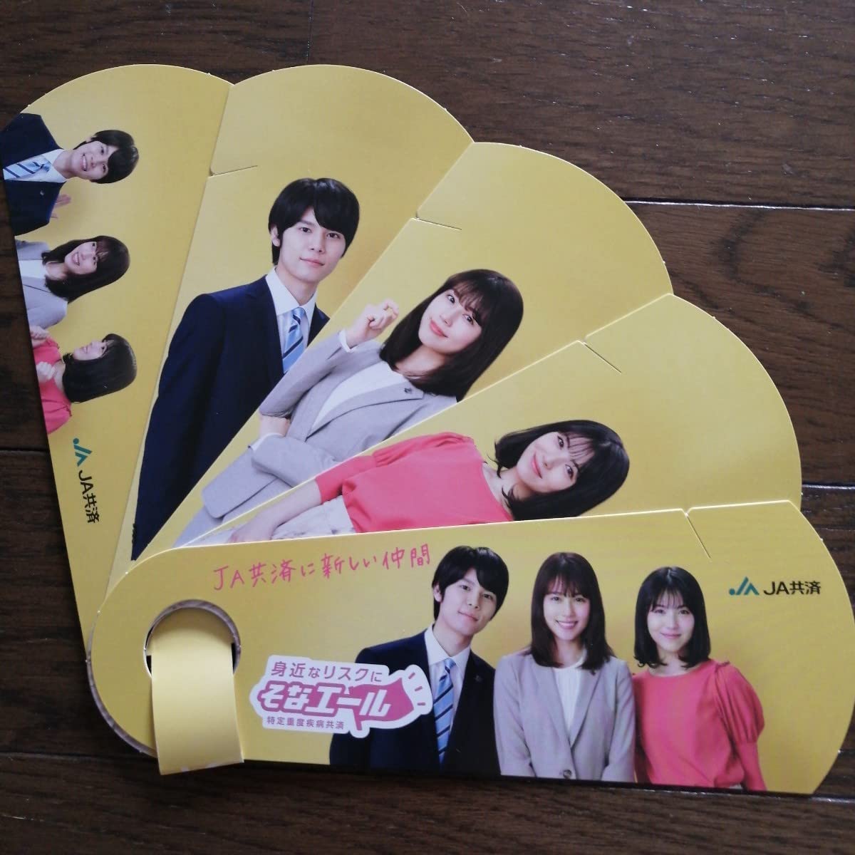 Amazon.co.jp: 農協 JA共済 そなエール 扇子 2セット 込 浜辺