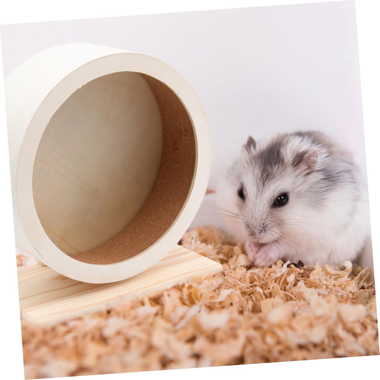 Holz Laufrad für Hamster und Kleine Tiere, Beige