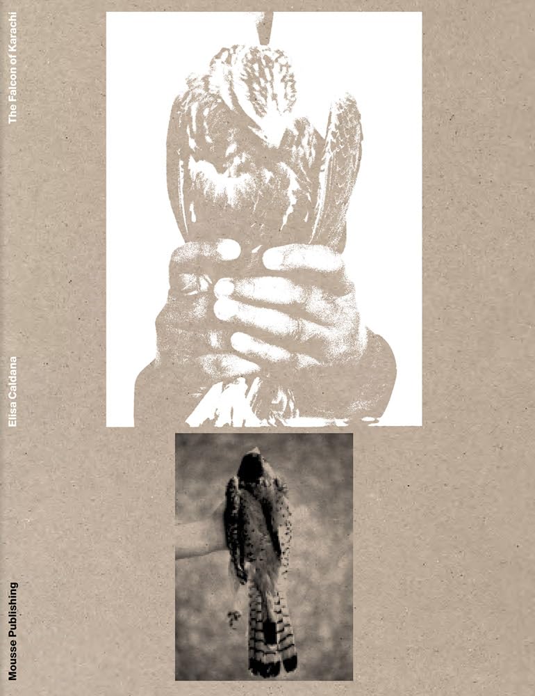 Elisa Caldana: The Falcon of Karachi | Livre Art Contemporain Pakistan
