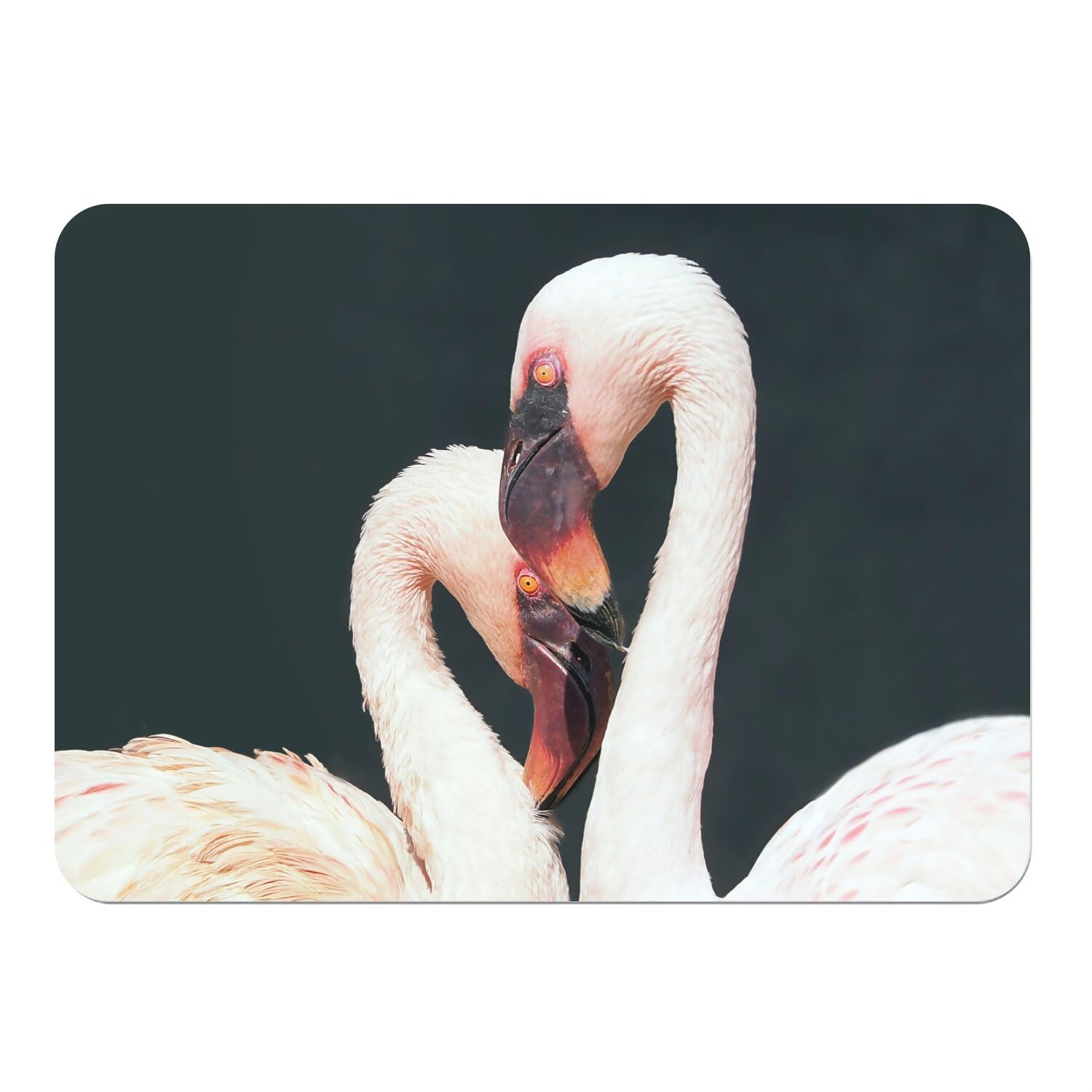 Set de table flamant rose grand format pour repas de couple romantique