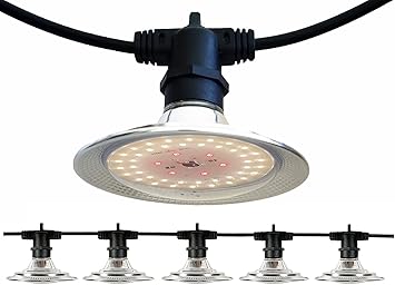 Outdoor Grow Lights for Outdoor Plants Waterproof, Full Spectrum, 22FT Adjustable Cord, Daisy-Chain String Grow Lights for Seedling,Veg,Flower in Greenhouse Garden Backyard Farm(6 Lights)
