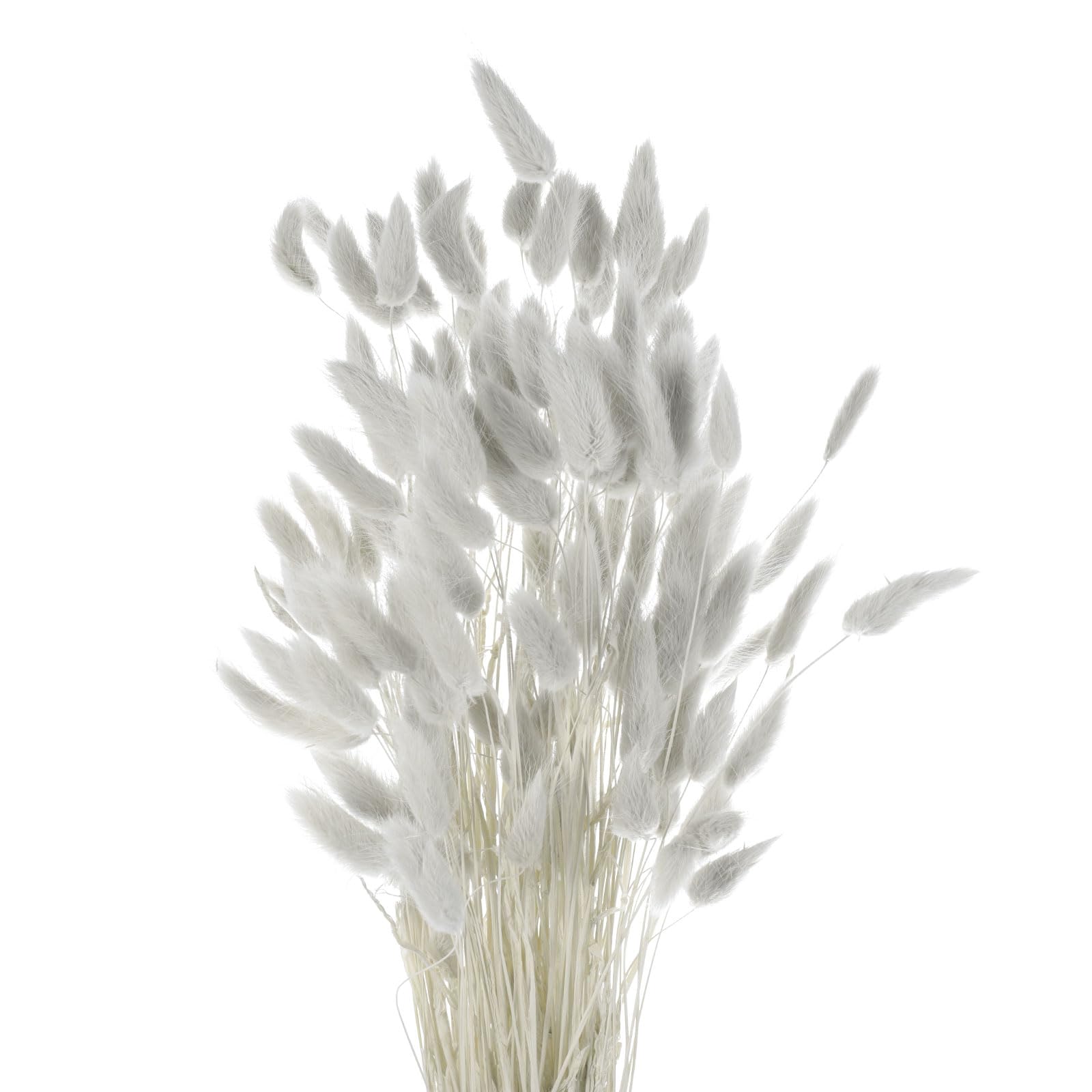 QUARKZMAN 120Pcs Queue de Lapin Naturelle Fleurs Séchées 60cm Gris | Mini Herbe de Pampa Lagurus Ovatus, Bouquet pour Décoration Florale Mariage Noël