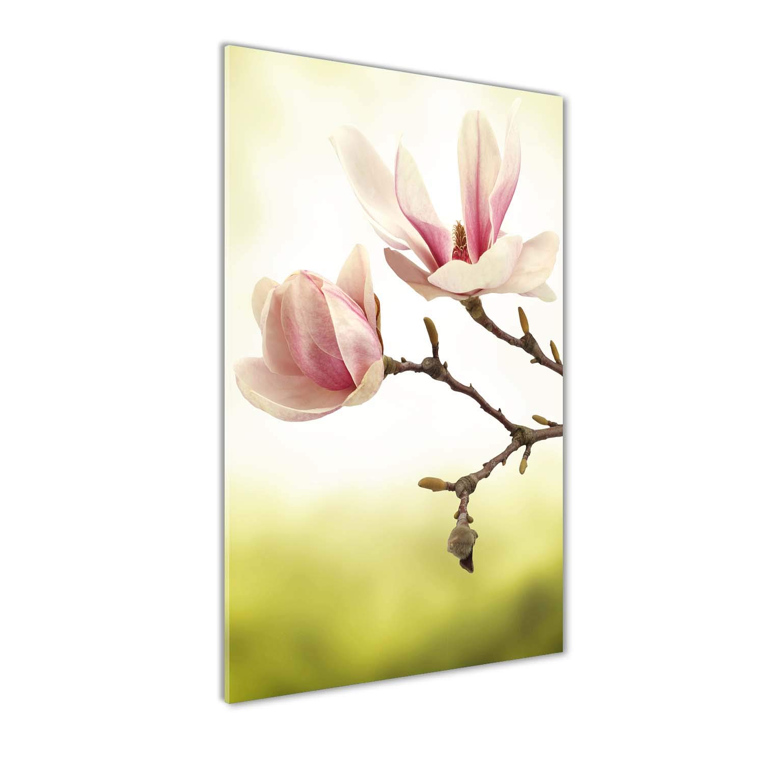 Impression sur verre haut de gamme fleurs de magnolia 50x100 cm décorative