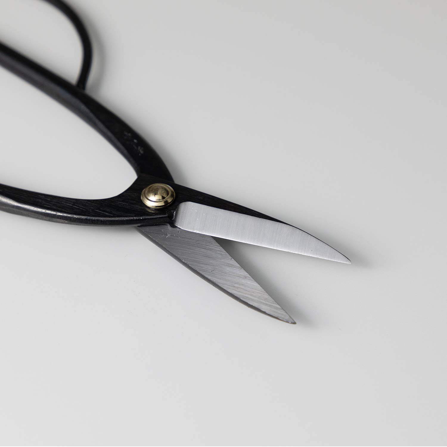 Wazakura Kit Outils Essentiels pour Bonsaï et Jardinage Japonais Fabriqué au Japon, Ciseaux à Bonsaï Ashinaga 200mm avec Coupe Branches Concave 200mm, Débutants et Confirmés