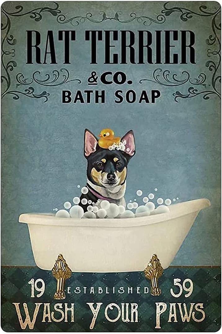 Bonoff Rat Terrier Dog Bathoap Bathroom Wash Your Pawsuper Durable Bathroom Retro Cave Ornaments Ation Vintage Decor Poster Wall Art Decor Metal Sign Poster 8X12 Inches