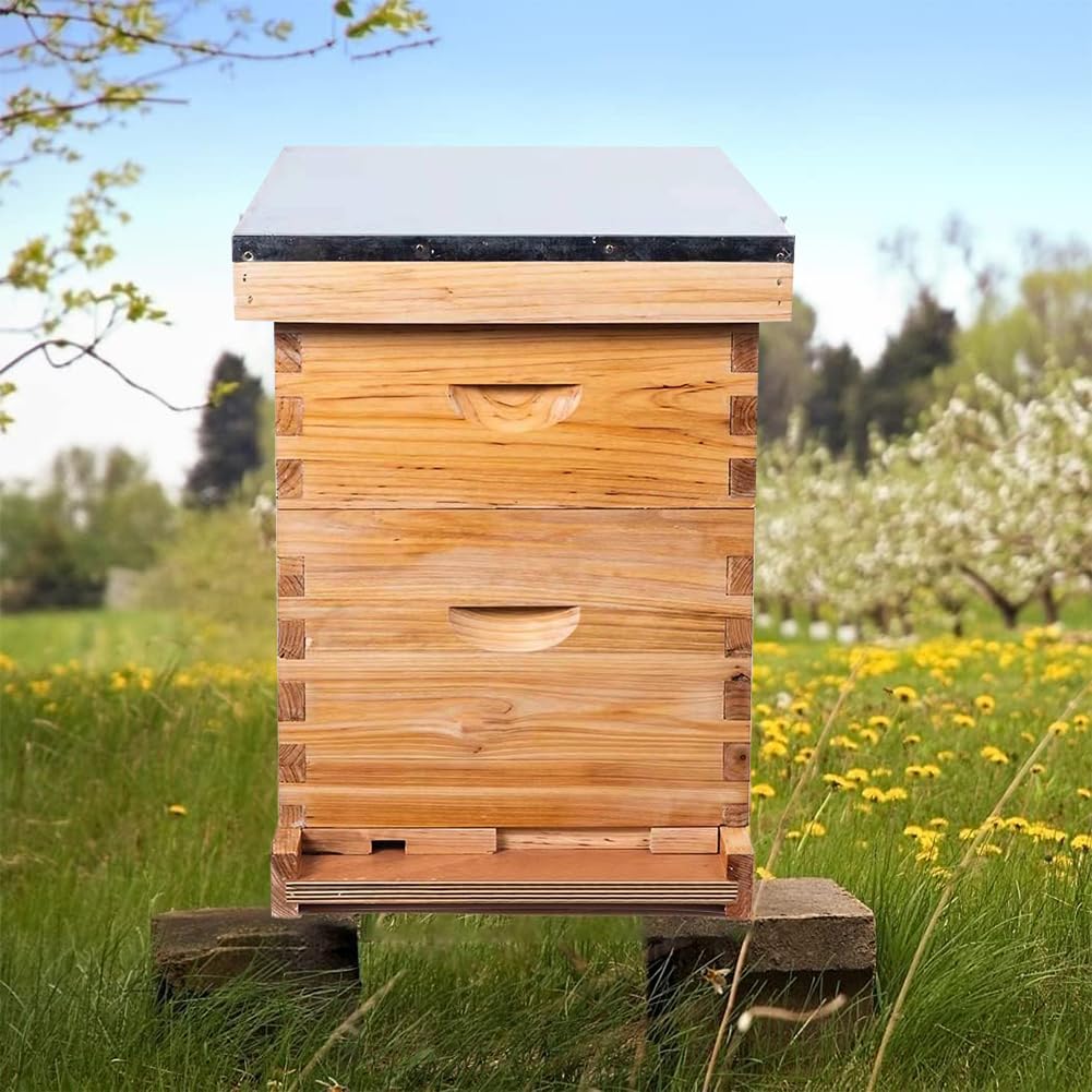 Bienenstock-Starterset,10 Rahmen Bienenstock Bienenwachs Beschichtet BienenstöCke FüR Alle Imkerei Ebenen Komplette Bienenstock Kit EnthäLt 1 Tief Boxen 1 Medium Box Frames Und Stiftung BläTter
