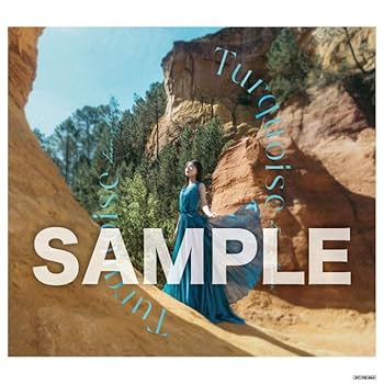 水瀬いのり Travel Record 初回限定盤 Travel Record【初回限定盤】 水瀬いのり KING RECORDS OFFICIAL