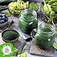 Bio Chlorella Pulver - 500g. Chlorella Algen Pulver Aus Algenpulver mit Chlorophyll-Proteinen und Vitamin B12 und C für Vegetarier und Veganer. Es Enthält Außerdem Zink und Antioxidantien.
