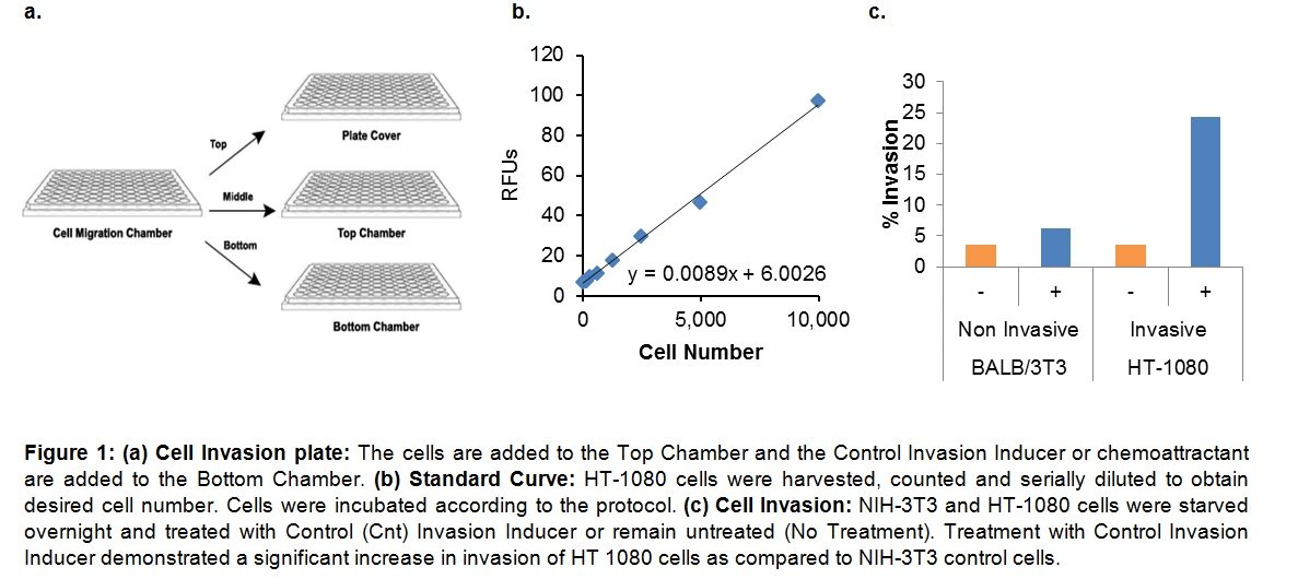 BioVision EZCell Cell Invasion Assay (Collagen I), 96-well, 8 µm, K916-100