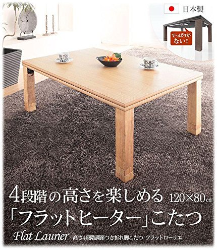 Amazon.co.jp : ソファや座椅子の高さに合うコタツ フラットヒーター