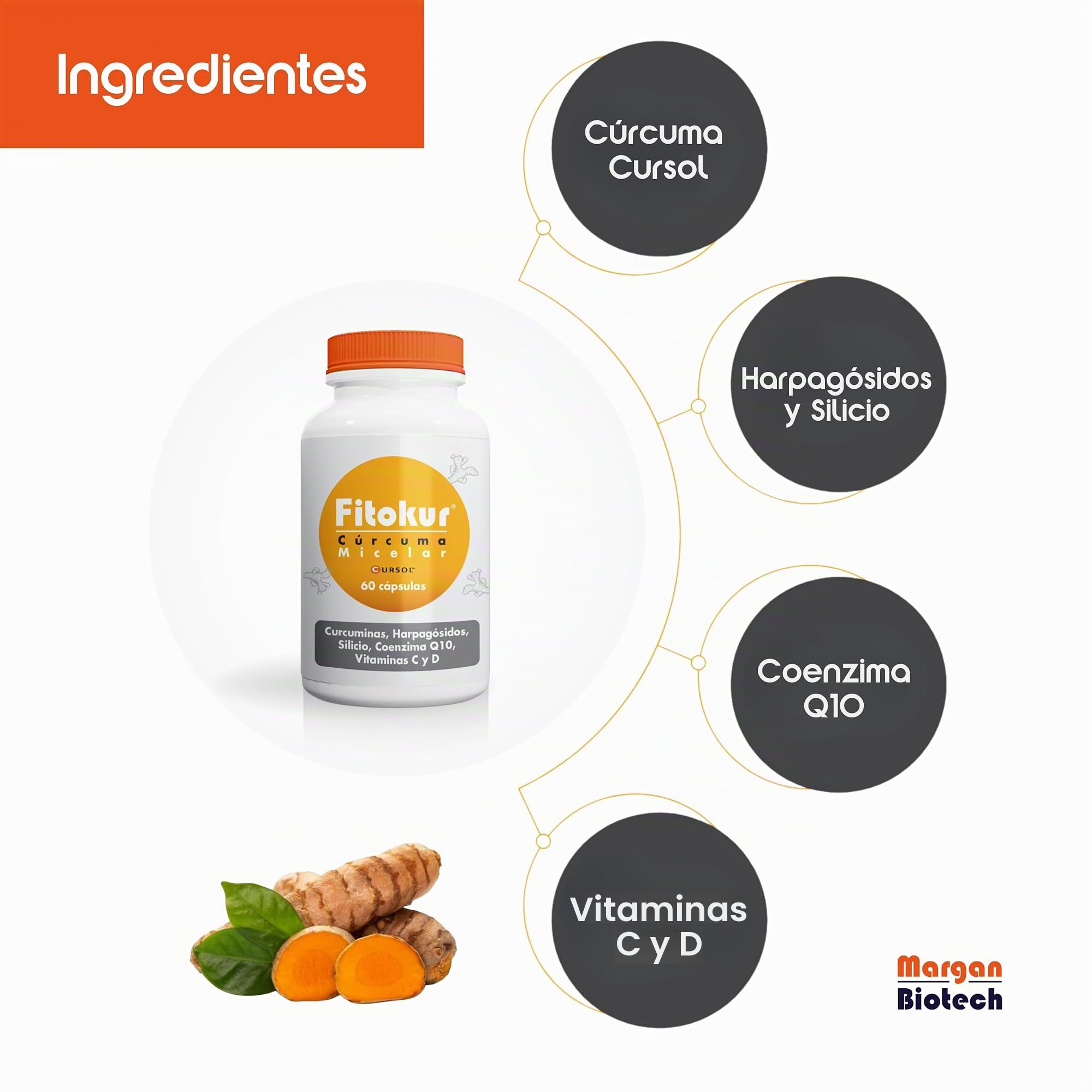 Margan Biotech Fitokur, 60 cápsulas | Cúrcuma Cursol | Extractos Vegetales | Coenzima Q10 | Vitamina D y C | Complementos Alimenticios para el Cuidado de la Salud Osteoarticular