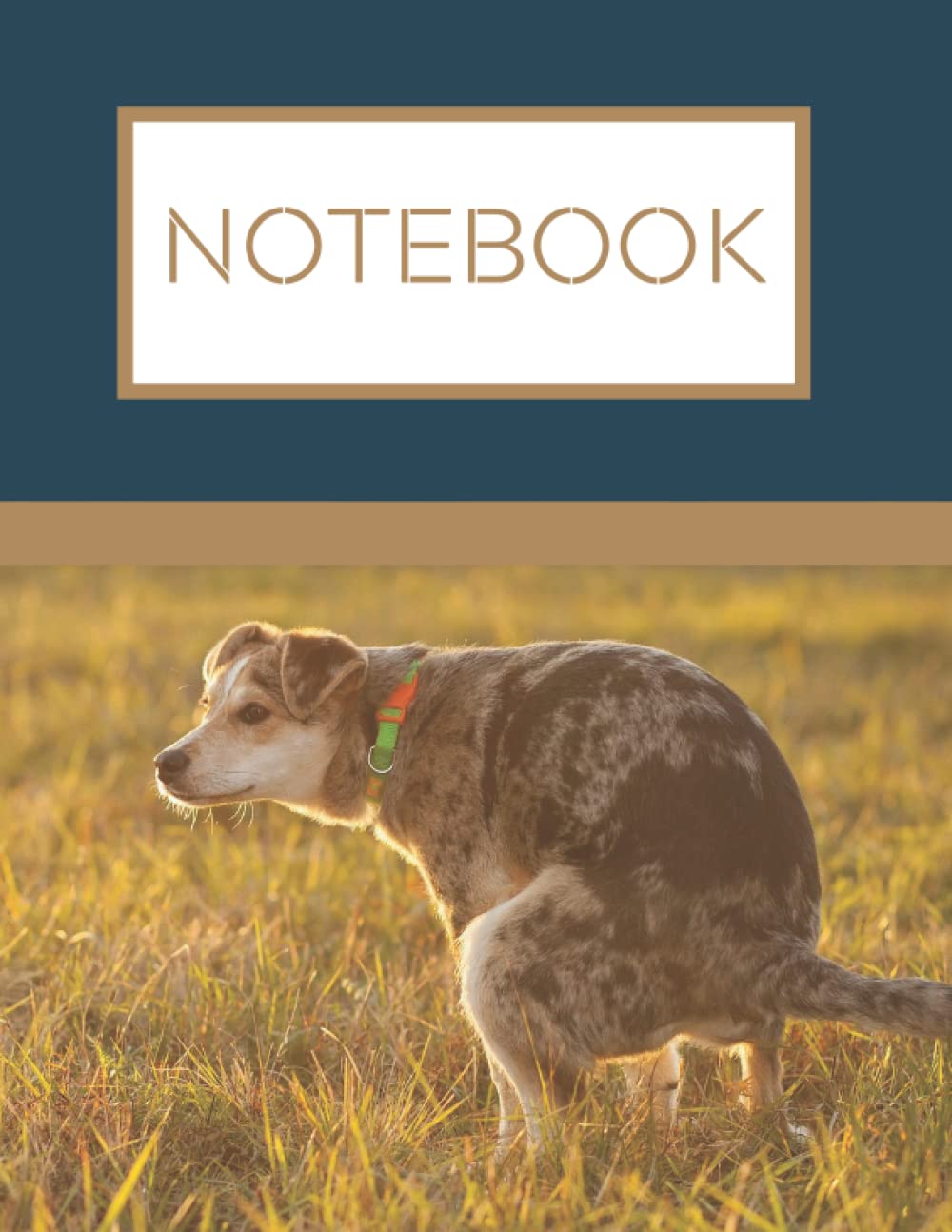 POOPING DOG COMPOSITION NOTEBOOK WIDE RULED: Pooping Dog Notebook for dog lovers, Pooping Dog Composition Notebook for boys and girls , 120 College Wide-Ruled Pages