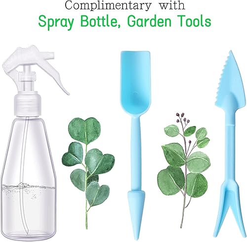 Miniatura 7 de REDHUGO Terrario de vidrio grande hecho a mano, caja de exhibición de centro de mesa, contenedores de macetas de regalo, terrarios de interior, casa