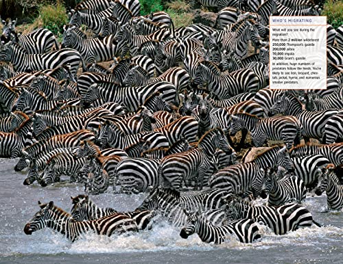 Fodor'S Travel Fodor'S Travel Guides Fodor'S The Complete Guide To African Safaris: With South Africa, Kenya, Tanzania, Botswana, Namibia, Rwanda, Uganda, And Victoria Falls  thumb #10