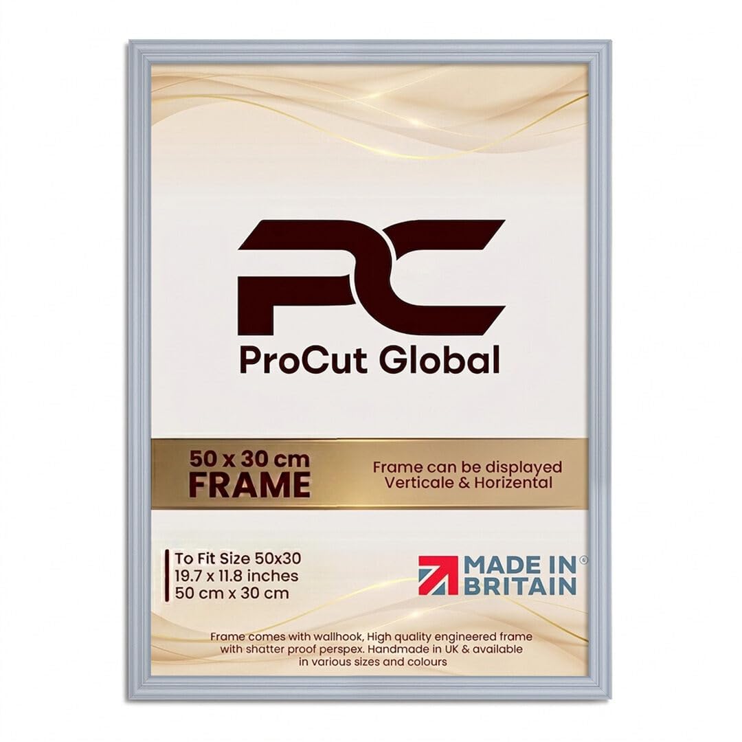 Procut Global Classic Silver Picture Frames For Photos - 50x30cm