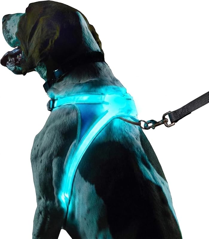 Peitoral Vest para Cães com Iluminação LED e Refletivo noxgear LightHound Small