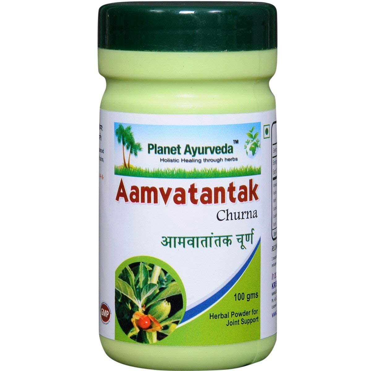 QRAPlanet Ayurveda Aamvatantak Churna - 100 g (Pack of 2)