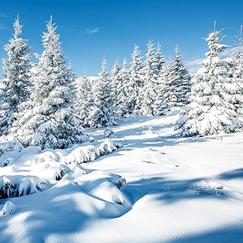 20 Servietten Nat?rlicher Winterwald/Wald/Schnee/Winter/Weihnachten 33x33cm Cover