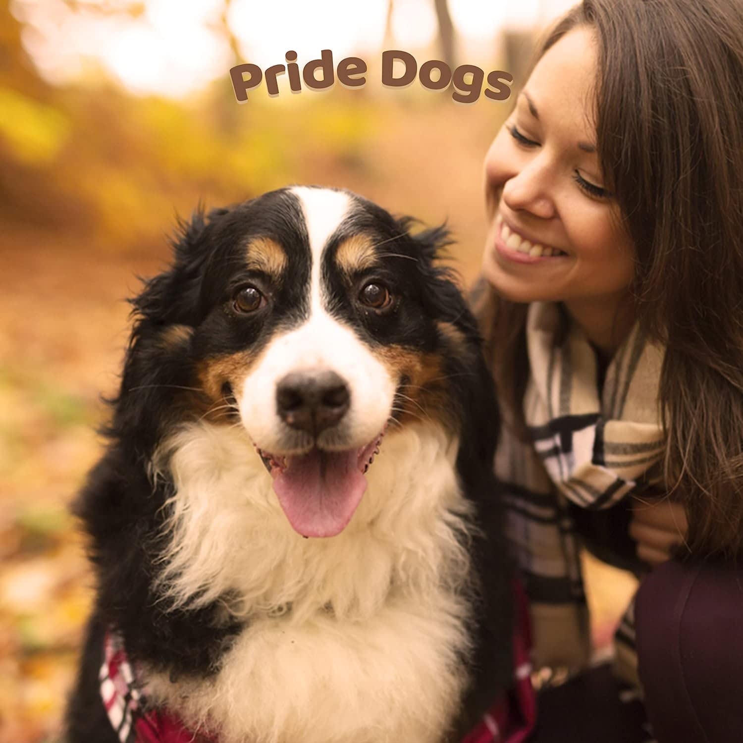 Lammlunge 500g der Premium Kausnack für Hunde von PrideDogs | 100% Deutsche Herstellung | geruchsneutraler Beutel