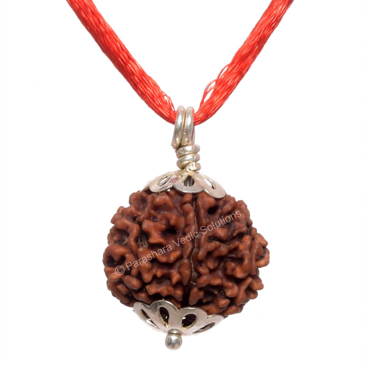 ARKAM Seven Mukhi Rudraksha Certified/Original Nepali 7 Mukhi Rudraksh/Natural 7 faced Rudraksha with Silver Pendant (Brown) with Certificate and Puja Instructions