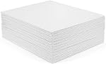 Tosnail 24 Pack 8" x 10" Canvas Panels Canvas Boards for Painting Party