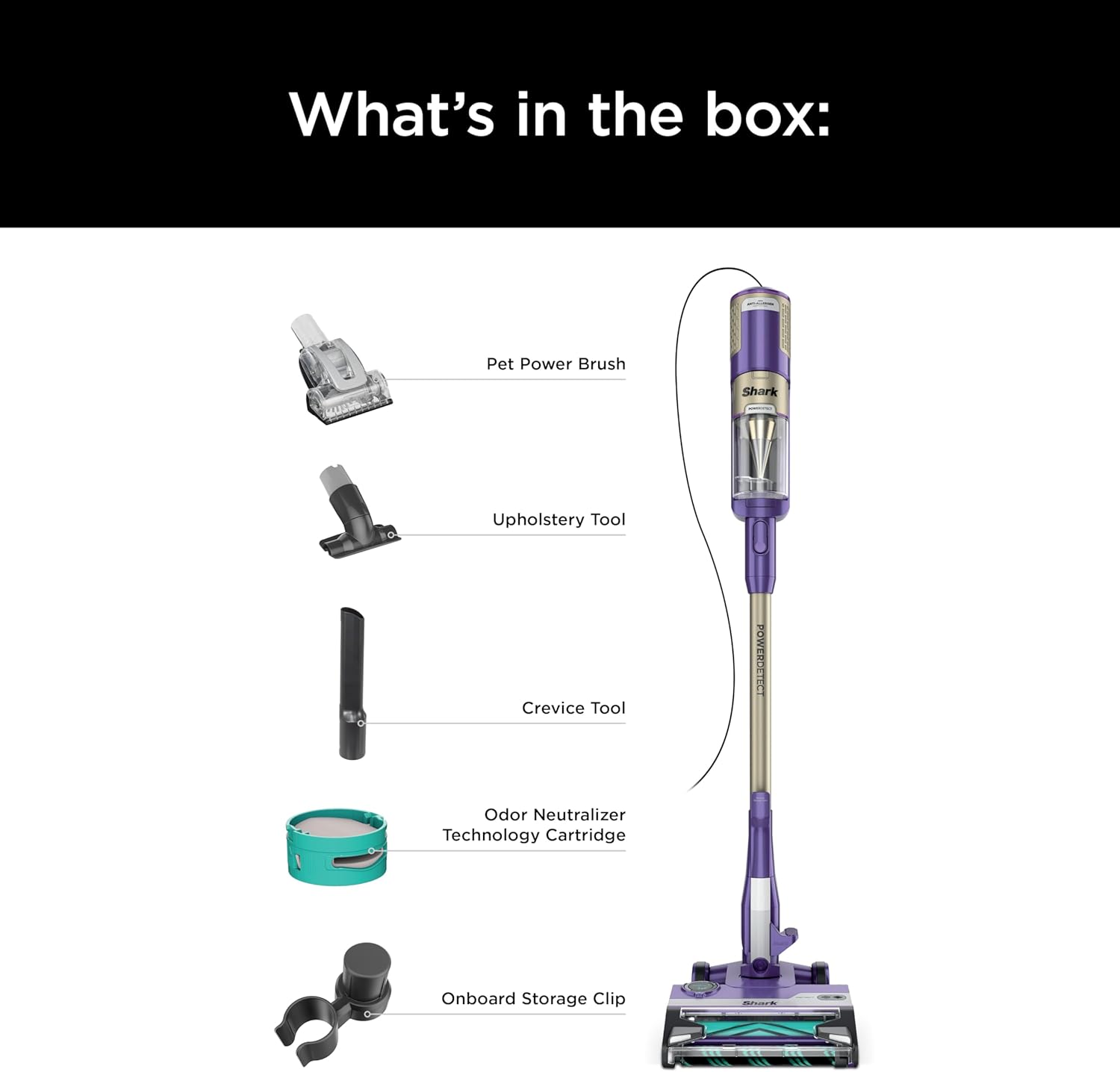 https://m.media-amazon.com/images/I/61j5Erl8wUL._AC_SL1500_.jpg