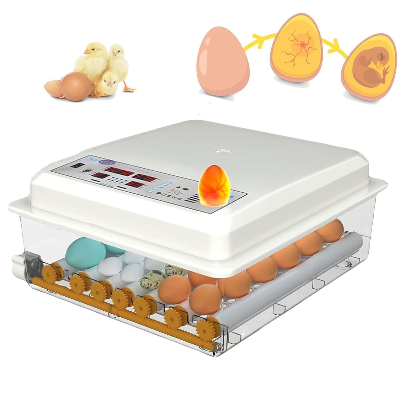 Incubadora digital de huevos con giro automático y pantalla LED para incubar aves de corral
