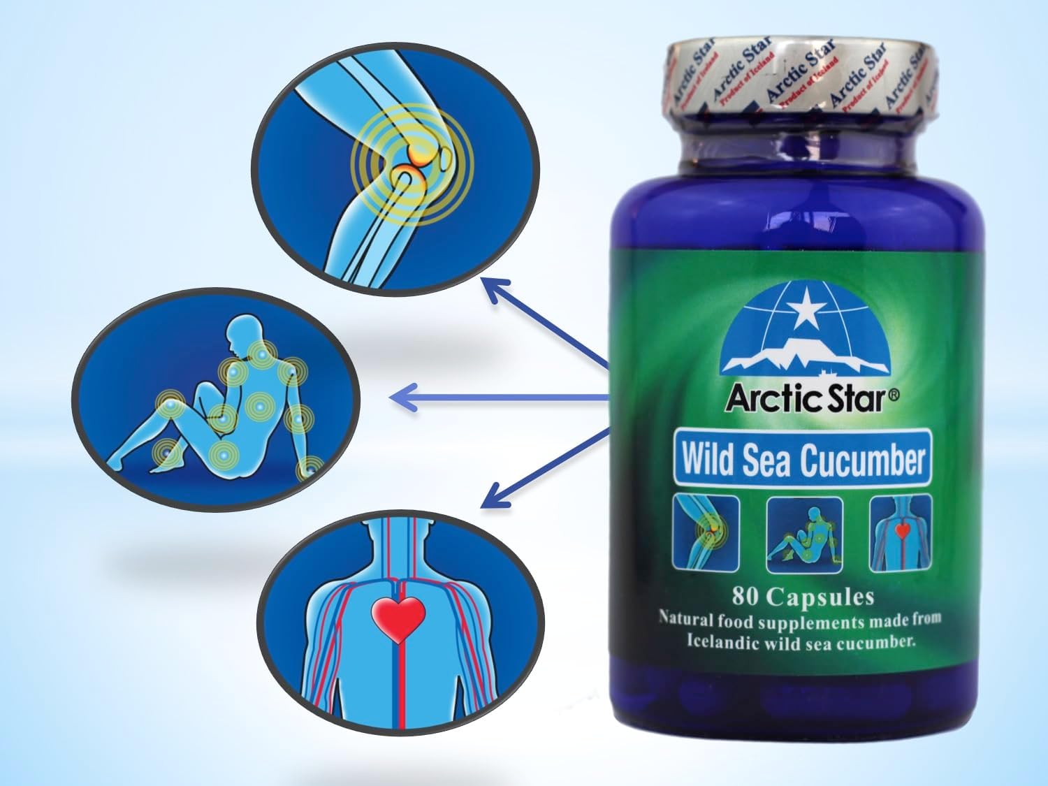 Arctic Star - Sea Cucumber Capsules - Natural Pure Iceland Atlantic Wild Caught Sea Cucumber Extract Supplement Pills - Joint Health t & Immune Health 400mg 80 Capsules/Bottle –北极星海参胶囊 - Image 4