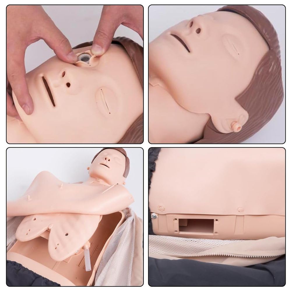 Herz-Lungen-Wiederbelebungstraining Modell Puppen Dummy Training Kit Professionelle Dummies Test Dummies Erwachsene mit mittlerer Haut MCR Medizinisches Zubehör