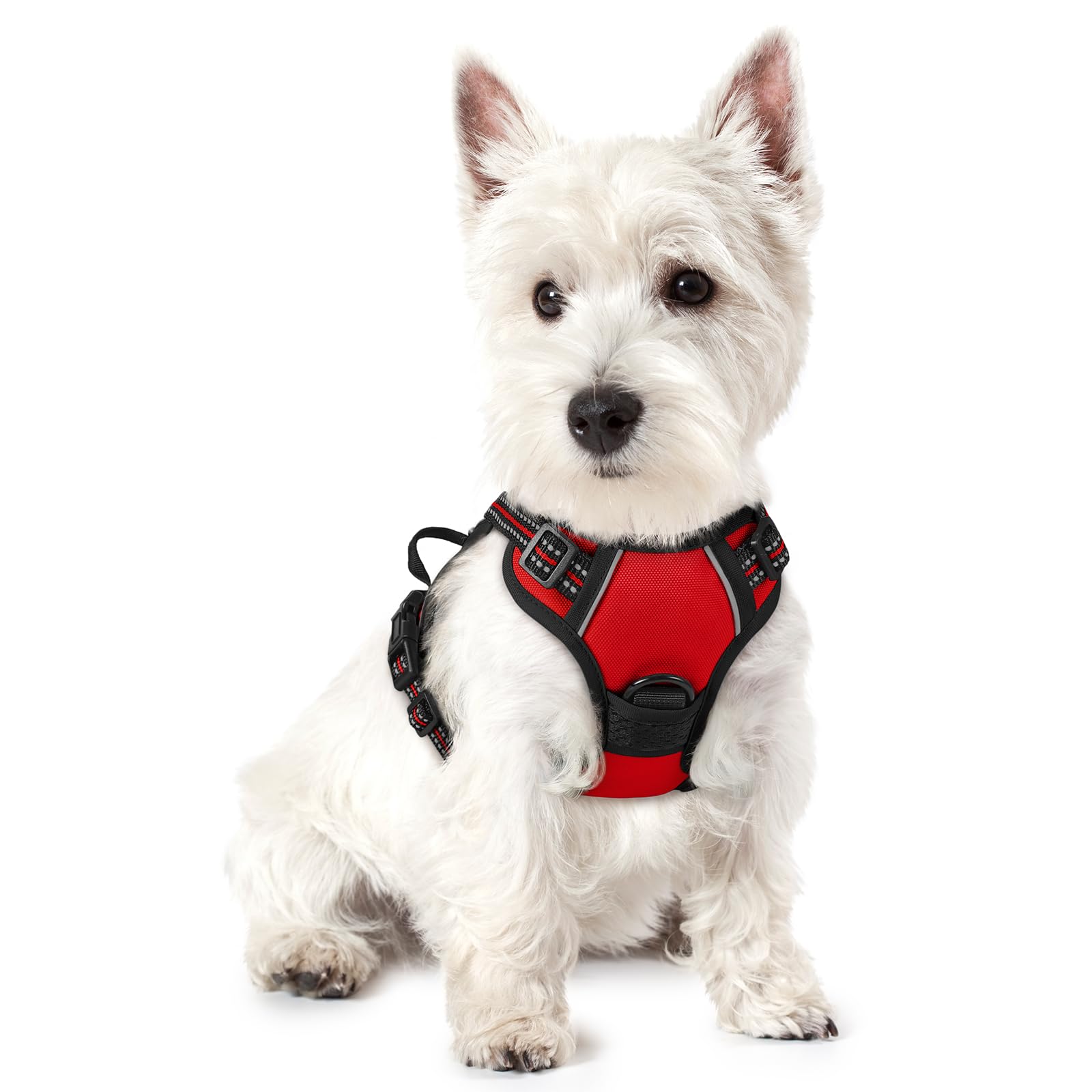 rabbitgoo Dog Harness Small Dog No Pull Pet Harness with 2 Leash Clips, Adjustable Soft Padded Pet Vest, Reflective No-Choke with Easy Control Handle for Training or Walking, Red, XS