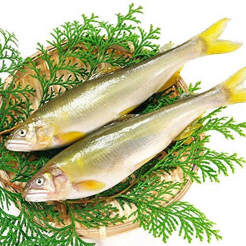 冷凍子持ち鮎2kgのサムネイル