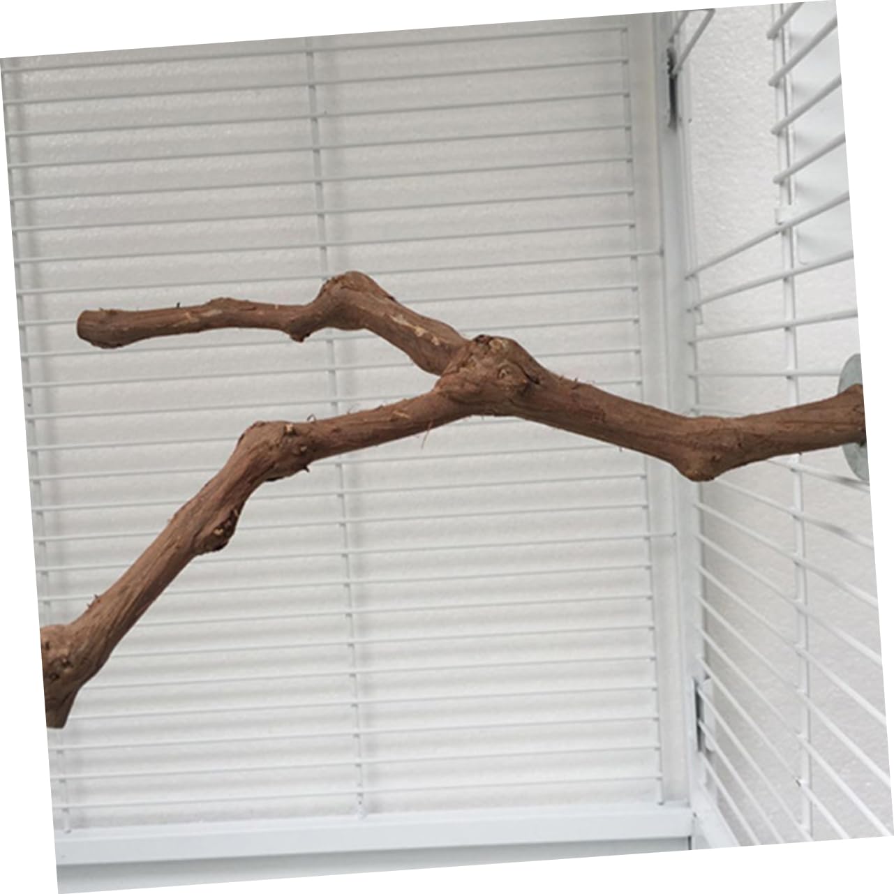 VANZACK 3pezzi Posatoio Per Uccelli Legno Per Pappagalli Giocattolo Per Addestramento e Riposo Struttura Robusta Stile Casual Per Gabbie Di Uccelli