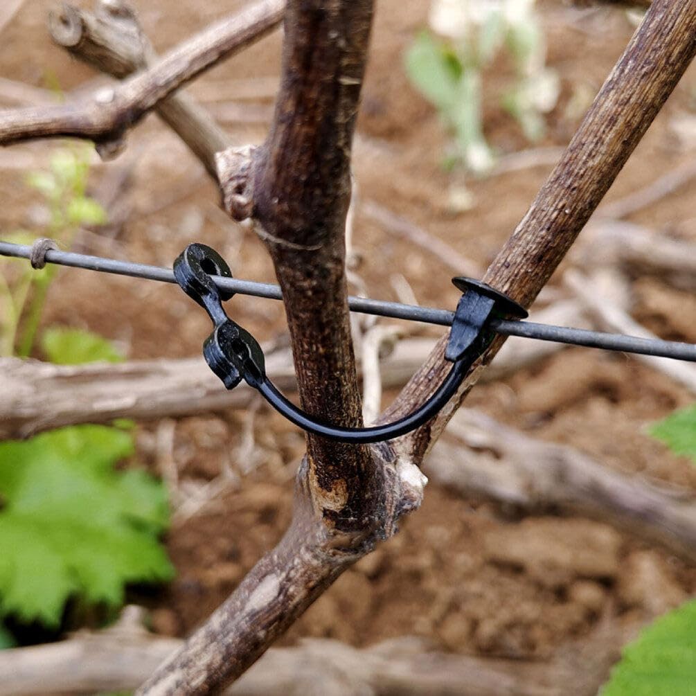 HANABASS Garden Grape Vines Clip Plant Support Clips for Climbing Vegetables Fruits Easy to Use for Grape Vines and Beans Plant Accessories