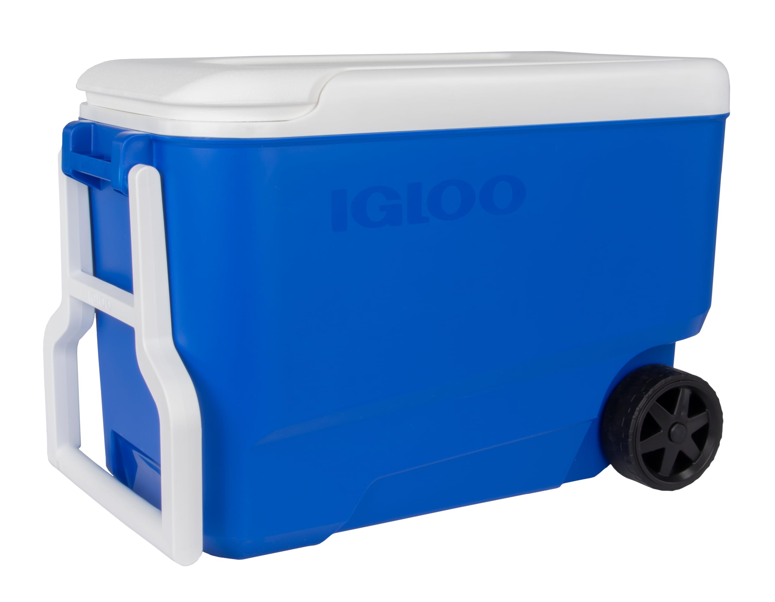 Amazon | igloo(イグルー) ウィリークール 38 (36L) ブルー